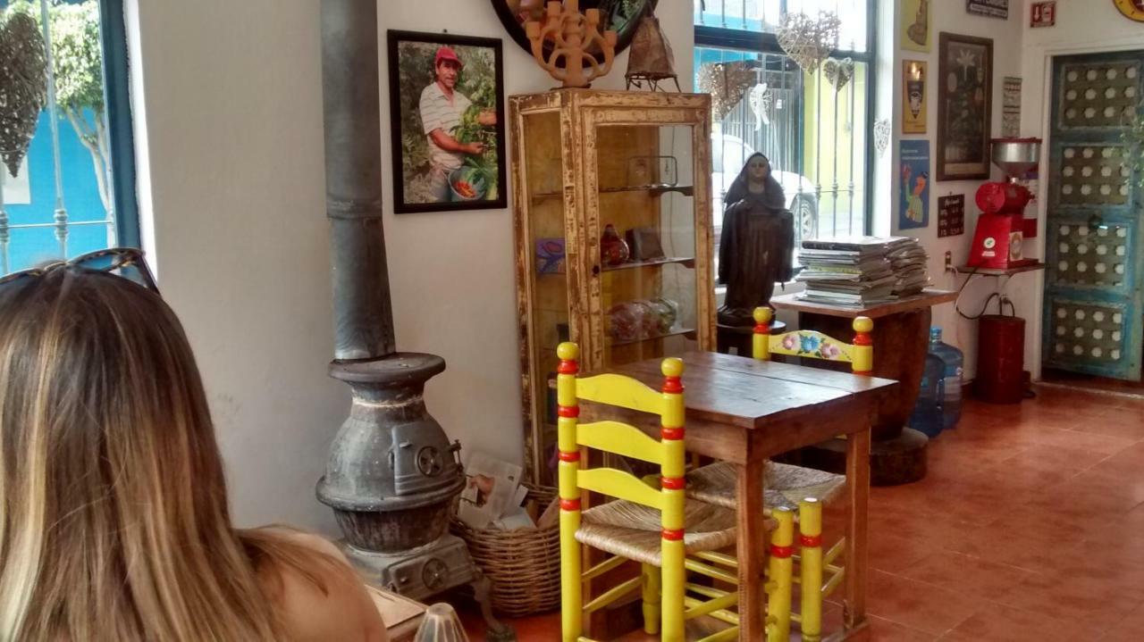 Hostal El Cascabel Cholula Extérieur photo