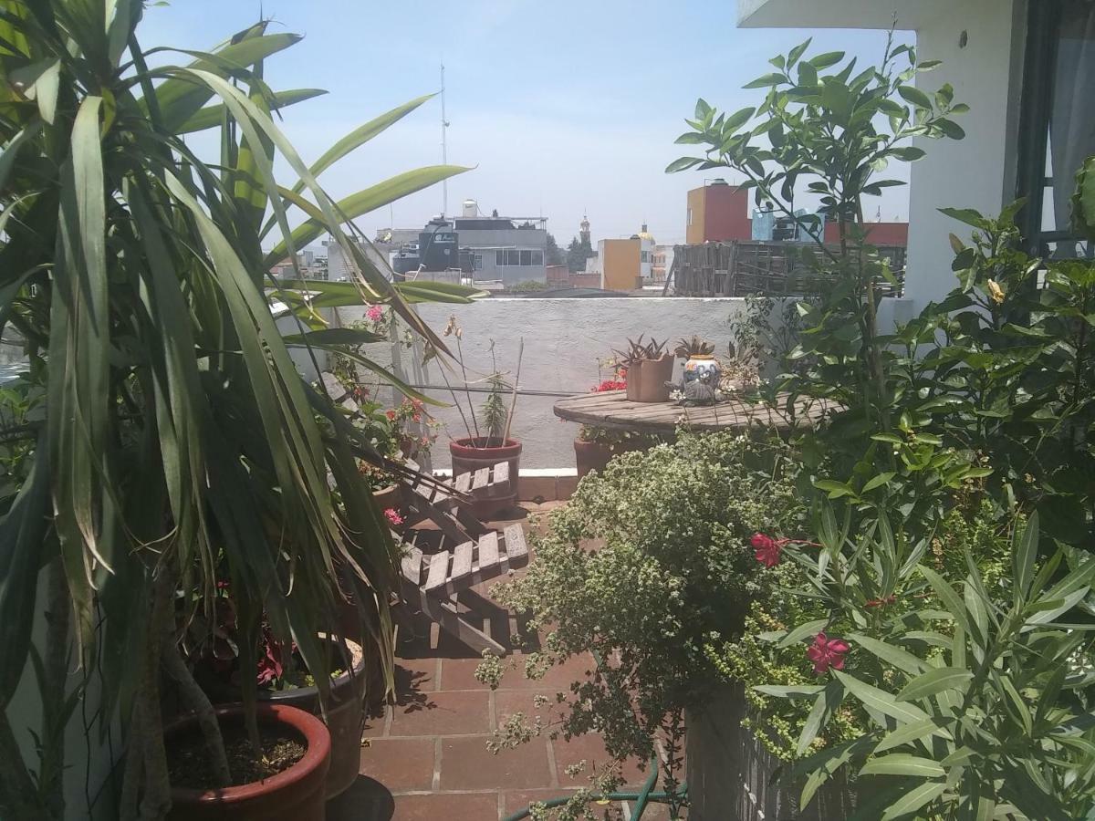 Hostal El Cascabel Cholula Extérieur photo